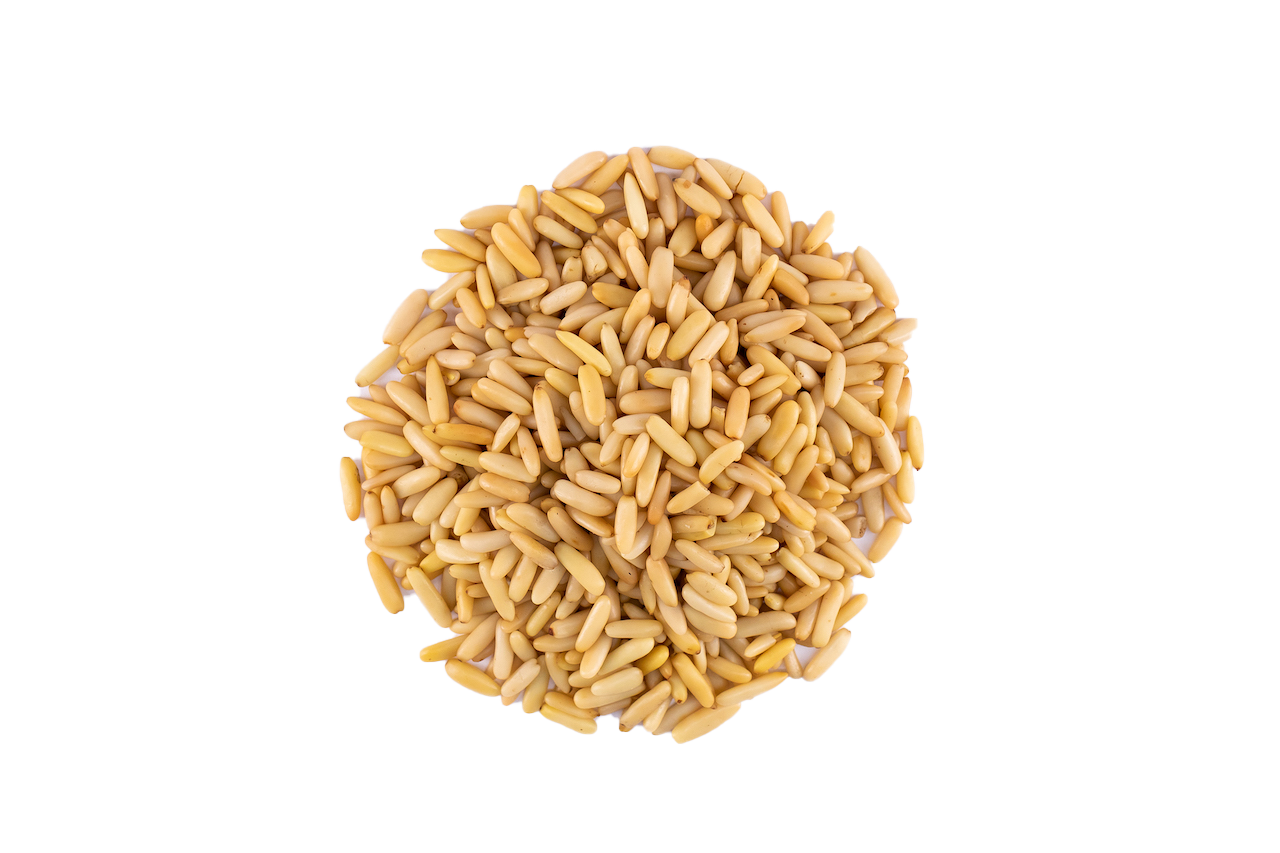 Pine-صنوبر