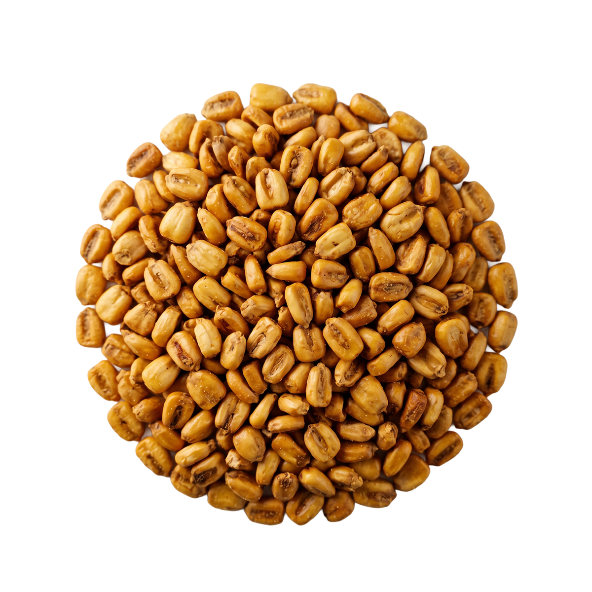 Spanish corn- ذرة اسباني