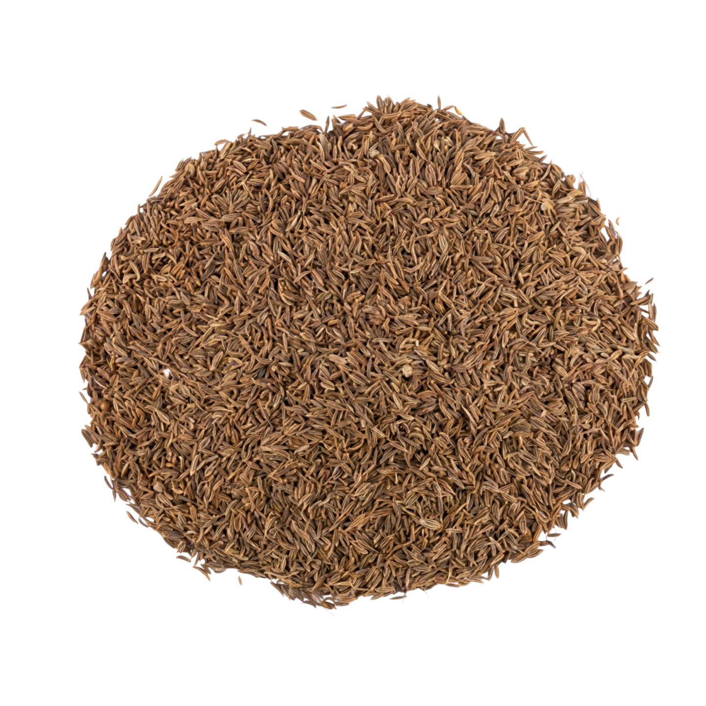 Cumin- كمون حصا