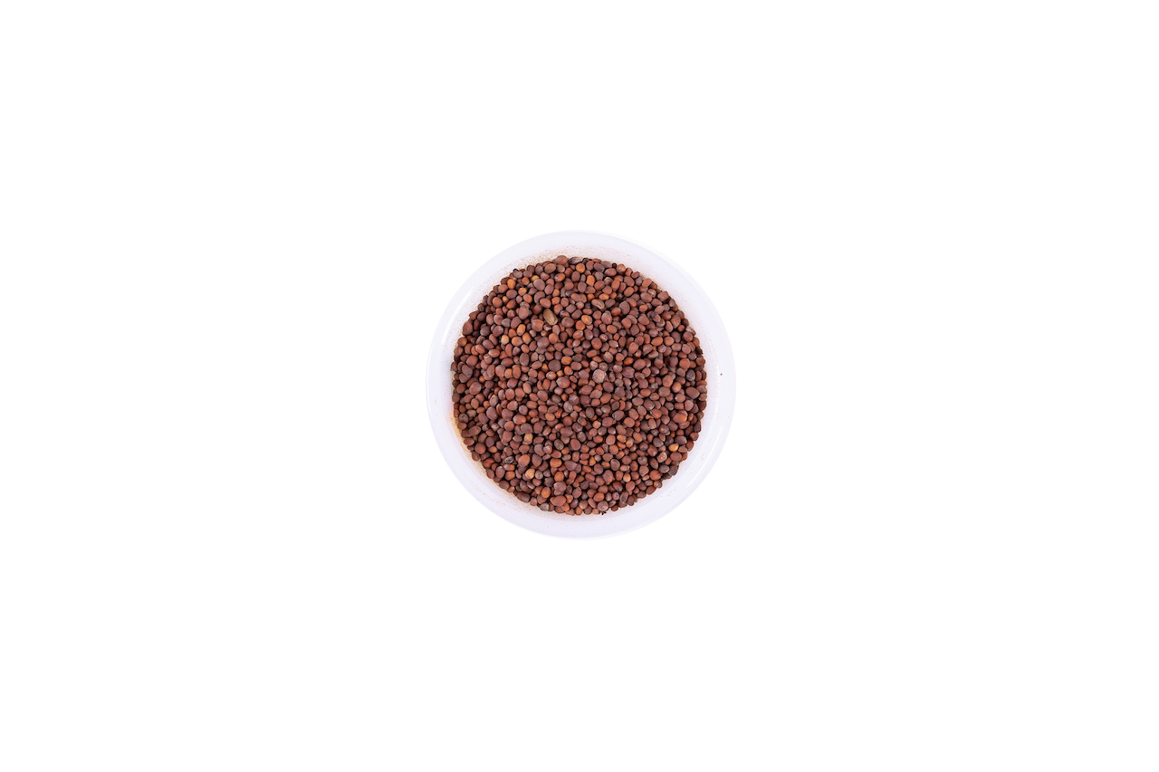 radish seeds- بذور الفجل