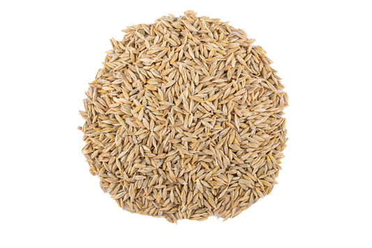 Barley- شعير