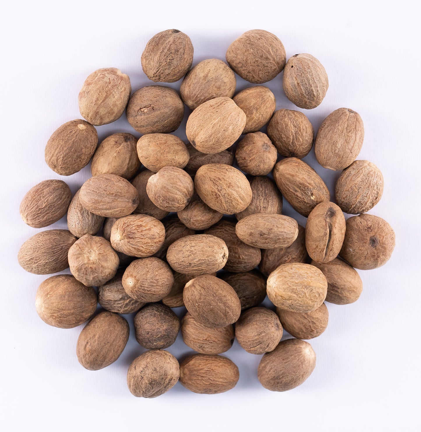 Nutmeg- جوزة الطيب حصا