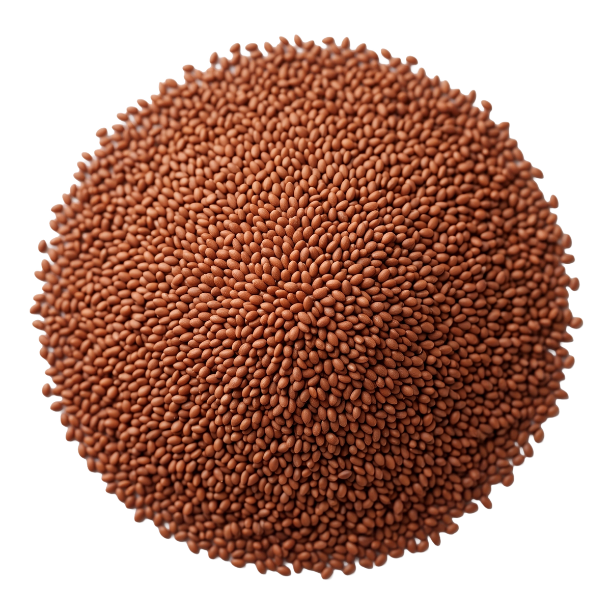Garden cress seed - حب الرشاد