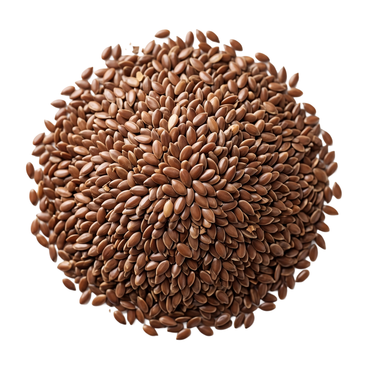 Flax seeds- بذر الكتان
